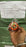 Handheld Thundering Gyroscope Toy for Kids (Pack of 1)